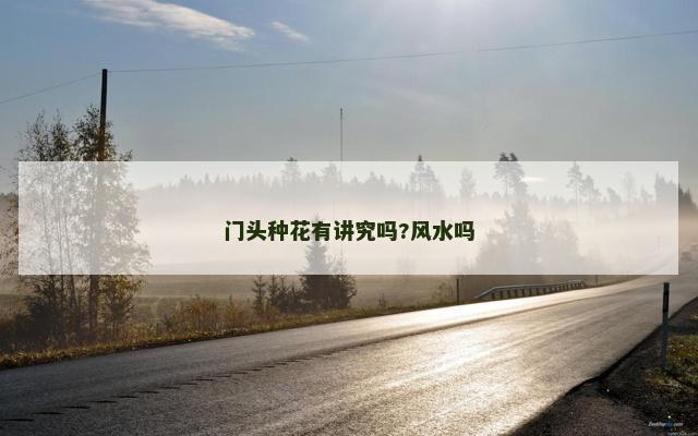 门头种花有讲究吗?风水吗