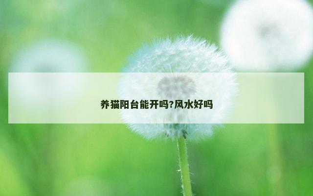 养猫阳台能开吗?风水好吗
