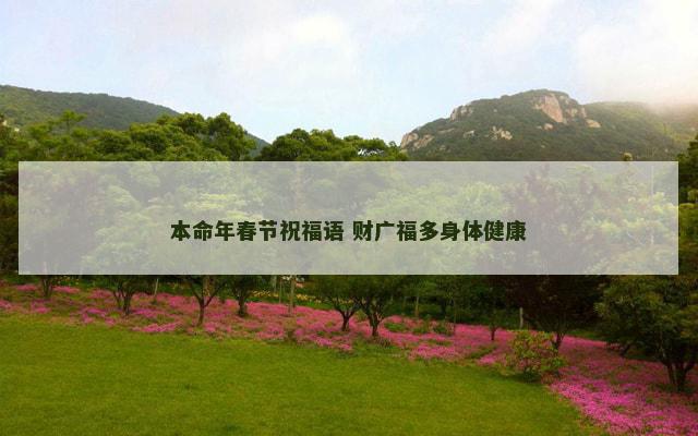 本命年春节祝福语 财广福多身体健康