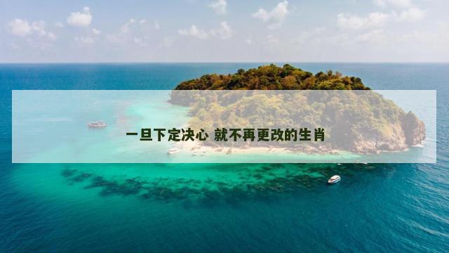 一旦下定决心 就不再更改的生肖