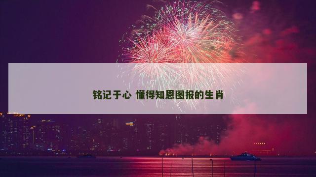 铭记于心 懂得知恩图报的生肖