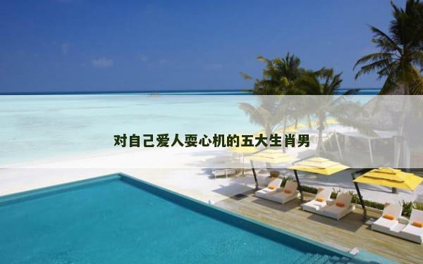 对自己爱人耍心机的五大生肖男