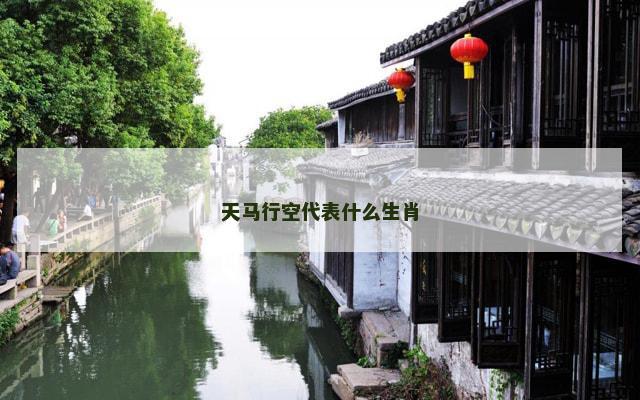 天马行空代表什么生肖