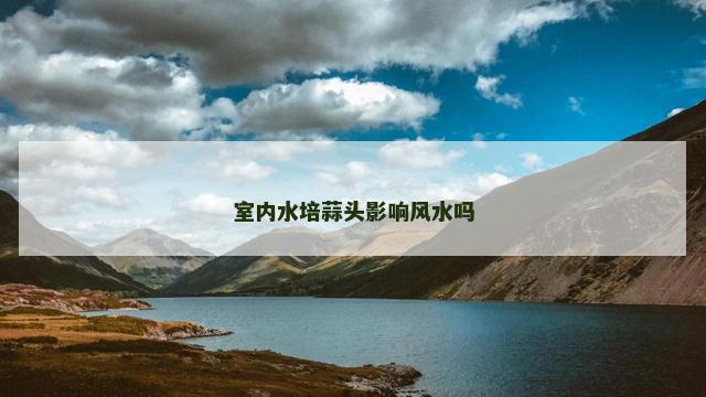 室内水培蒜头影响风水吗