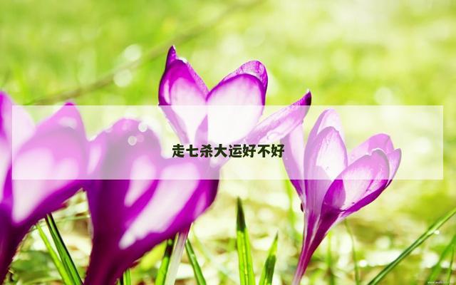 走七杀大运好不好