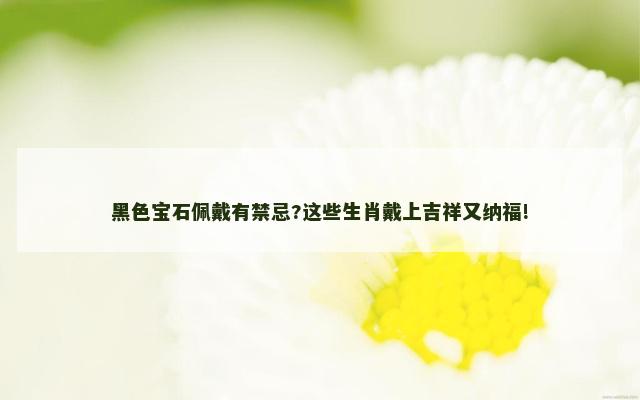 黑色宝石佩戴有禁忌?这些生肖戴上吉祥又纳福!