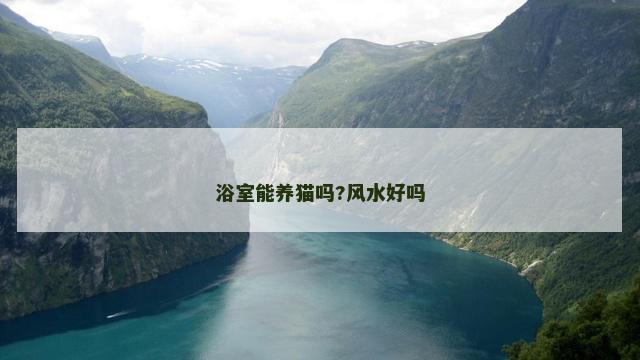 浴室能养猫吗?风水好吗