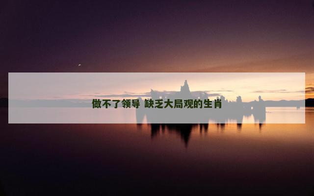 做不了领导 缺乏大局观的生肖