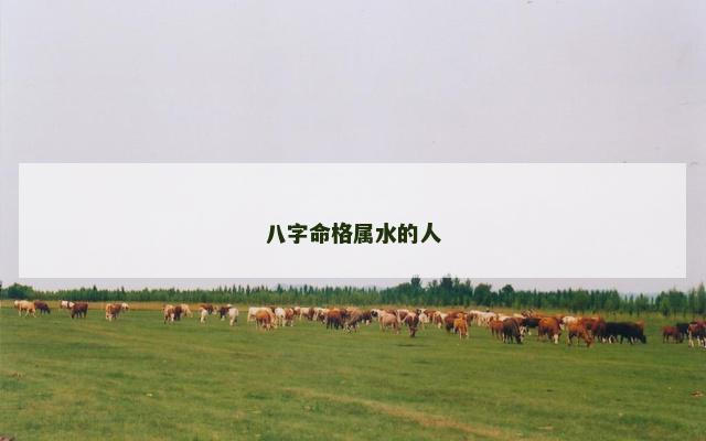 八字命格属水的人