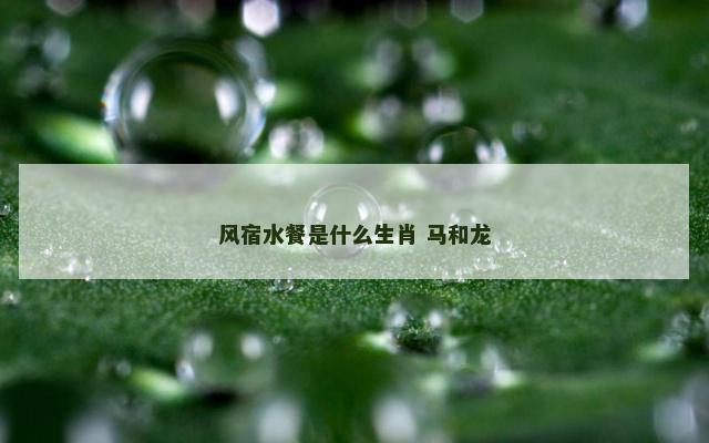 风宿水餐是什么生肖 马和龙