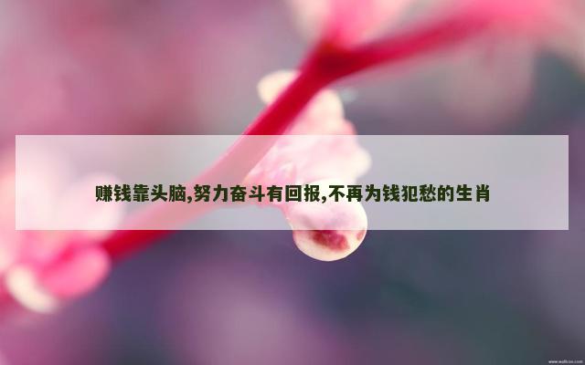 赚钱靠头脑,努力奋斗有回报,不再为钱犯愁的生肖