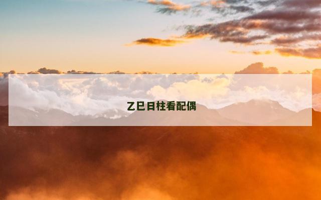 乙巳日柱看配偶