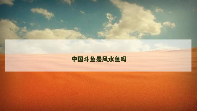 中国斗鱼是风水鱼吗