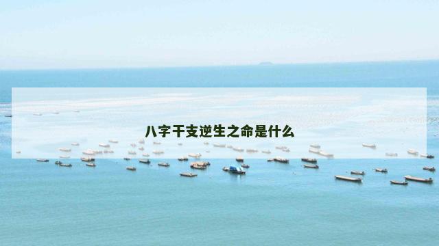 八字干支逆生之命是什么