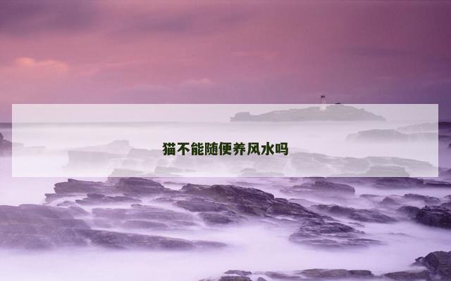 猫不能随便养风水吗