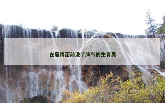 在爱情面前没了脾气的生肖男