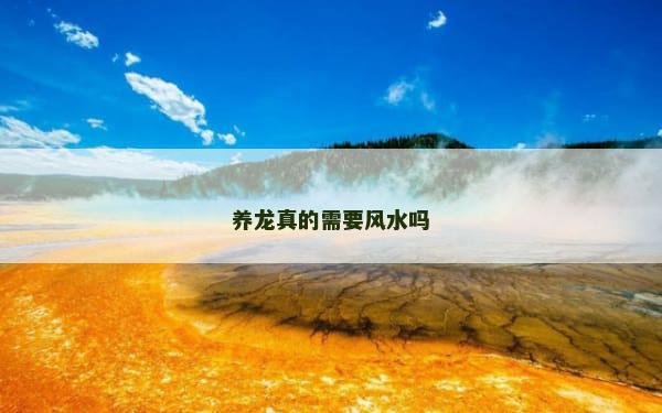 养龙真的需要风水吗