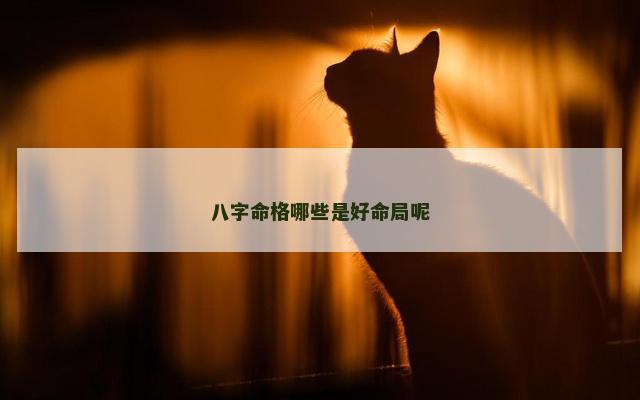 八字命格哪些是好命局呢