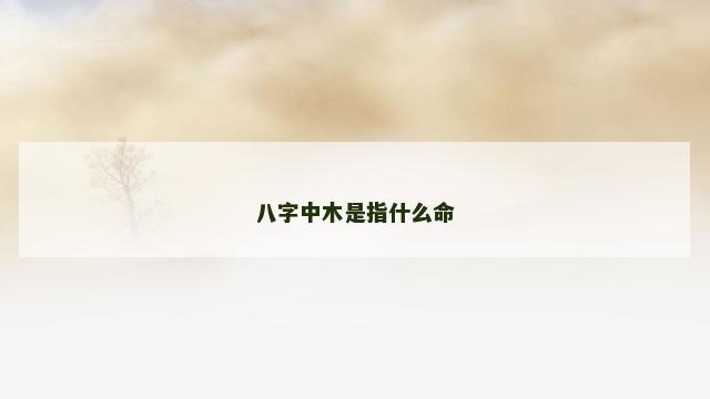 八字中木是指什么命