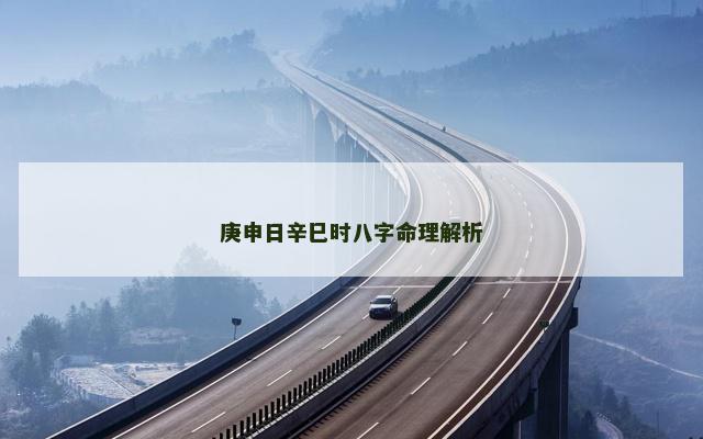 庚申日辛巳时八字命理解析