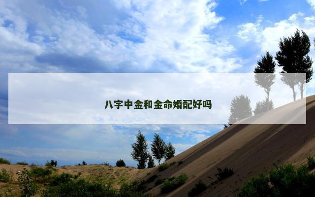 八字中金和金命婚配好吗
