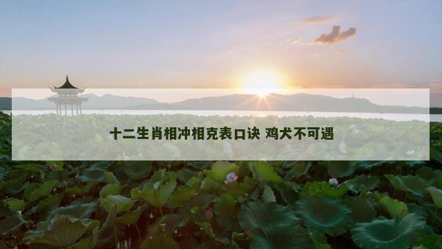 十二生肖相冲相克表口诀 鸡犬不可遇