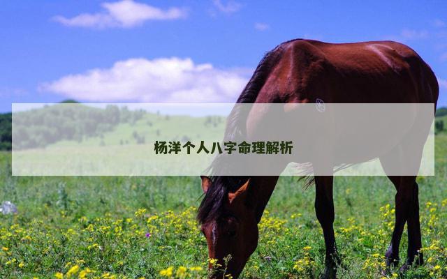 杨洋个人八字命理解析