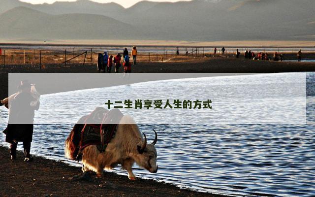 十二生肖享受人生的方式