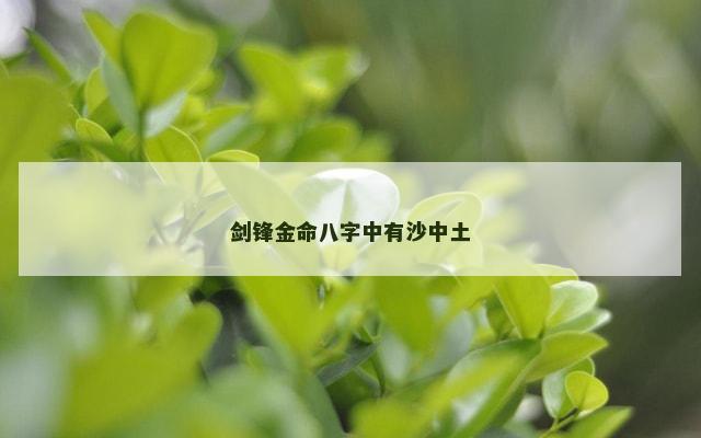 剑锋金命八字中有沙中土