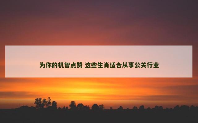 为你的机智点赞 这些生肖适合从事公关行业