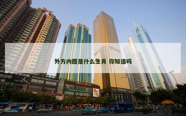 外方内圆是什么生肖 你知道吗