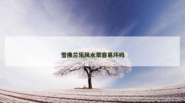 雪佛兰乐风水泵容易坏吗