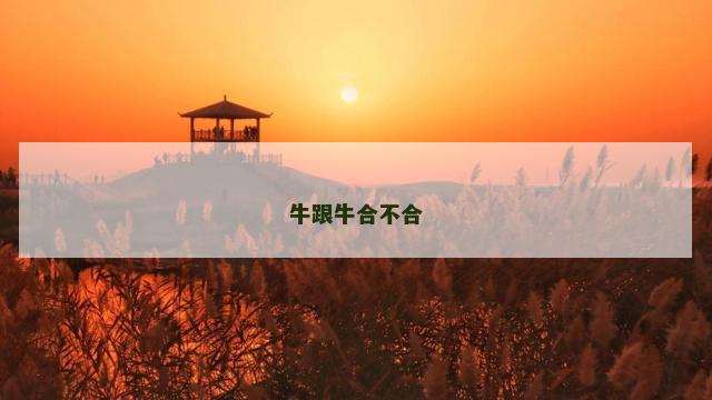牛跟牛合不合