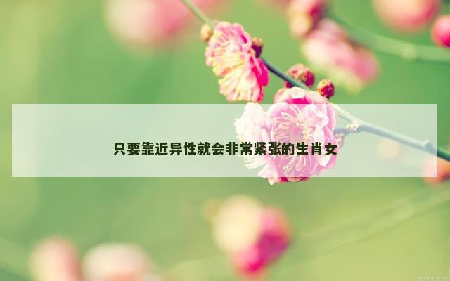 只要靠近异性就会非常紧张的生肖女