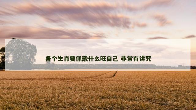 各个生肖要佩戴什么旺自己 非常有讲究