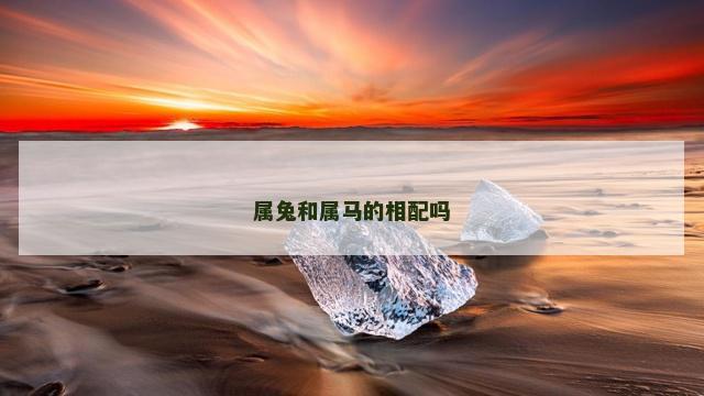 属兔和属马的相配吗