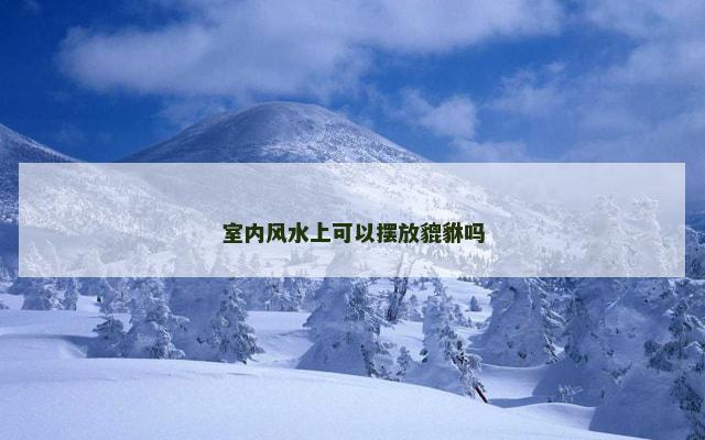 室内风水上可以摆放貔貅吗