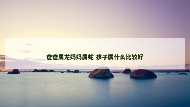 爸爸属龙妈妈属蛇 孩子属什么比较好