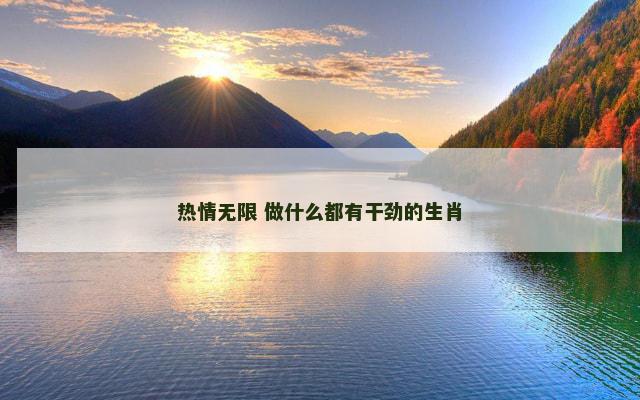 热情无限 做什么都有干劲的生肖