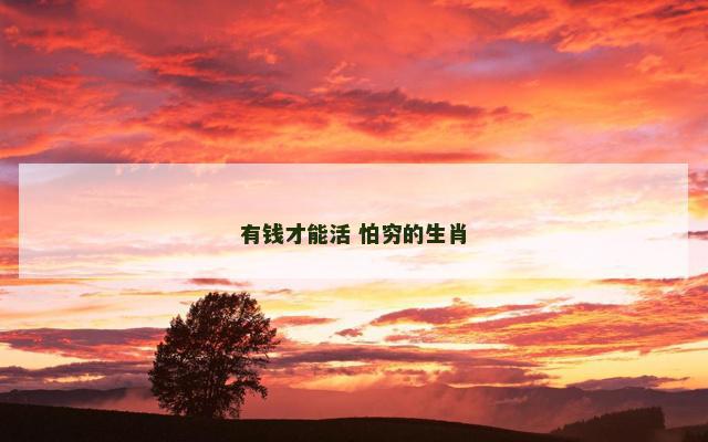 有钱才能活 怕穷的生肖