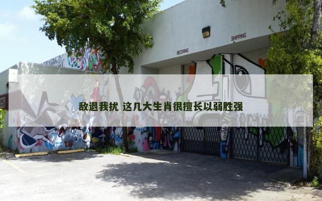 敌退我扰 这几大生肖很擅长以弱胜强
