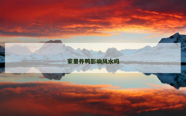 家里养鸭影响风水吗