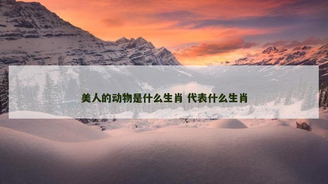 美人的动物是什么生肖 代表什么生肖