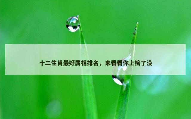 十二生肖最好属相排名，来看看你上榜了没