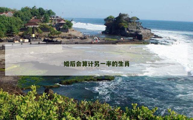 婚后会算计另一半的生肖