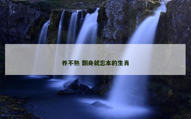 养不熟 翻身就忘本的生肖