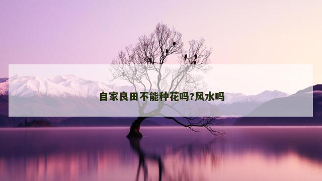 自家良田不能种花吗?风水吗
