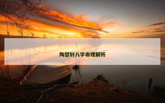 陶哲轩八字命理解析