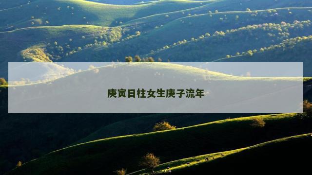 庚寅日柱女生庚子流年