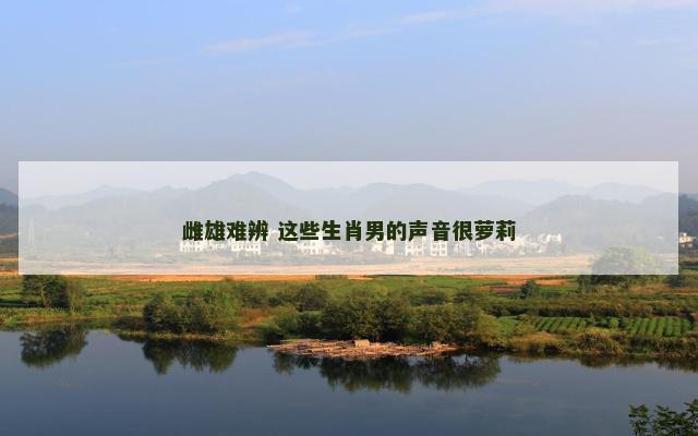 雌雄难辨 这些生肖男的声音很萝莉